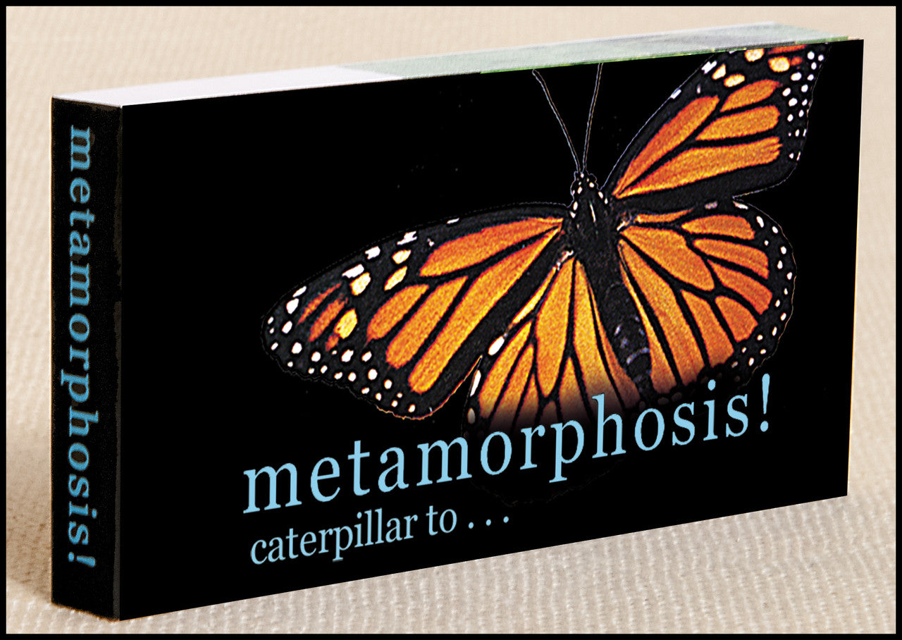 Personalized flipbooks