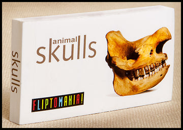Flipbooks