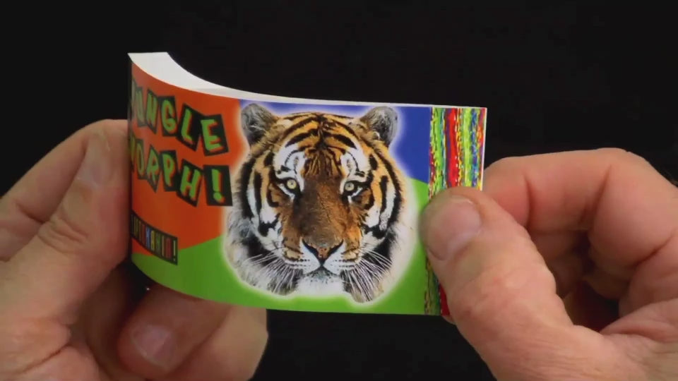 Personalized flipbooks