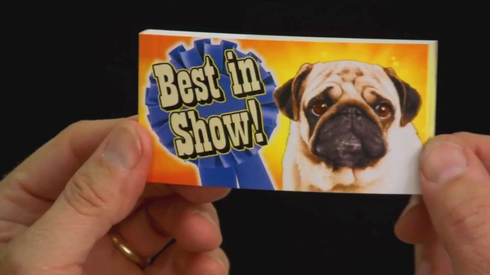 Best in Show! Flipbook by FLIPTOMANIA INC.