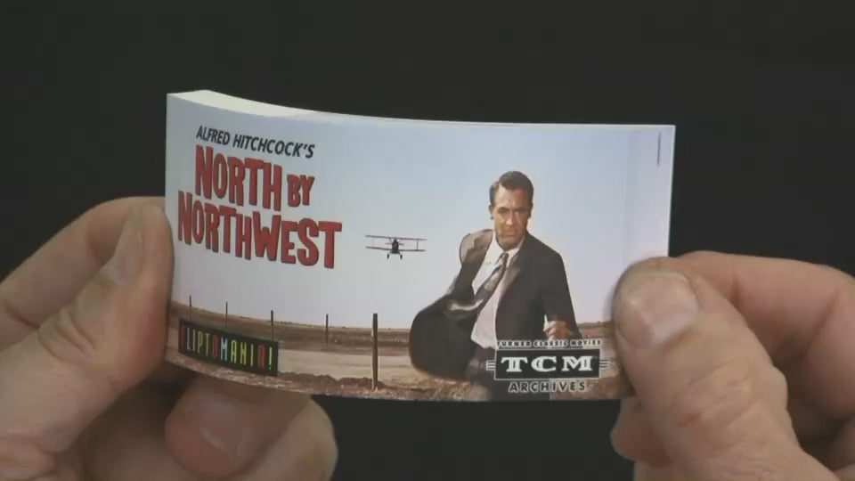 North by Northwest (Hitchcock) Flipbook by FLIPTOMANIA INC.