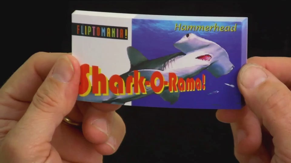 Personalized flipbooks