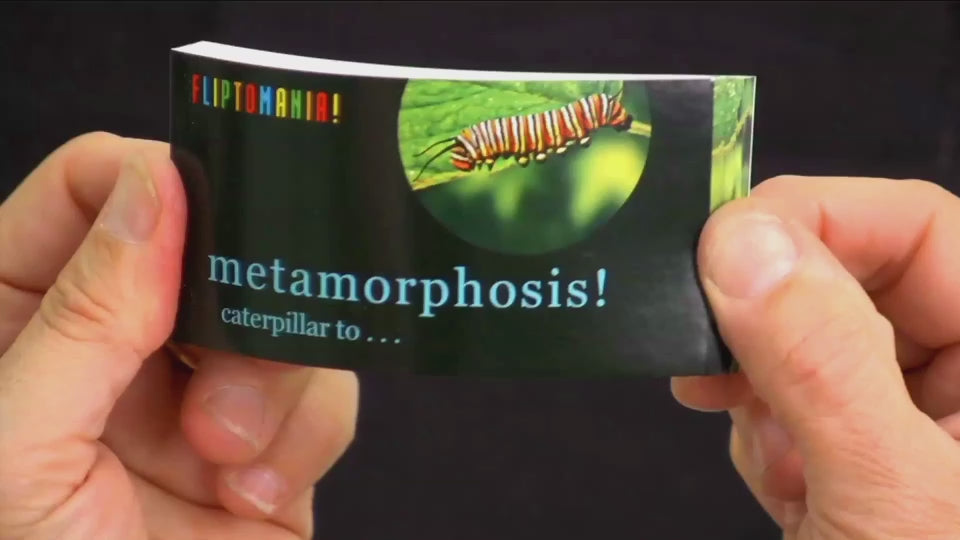 Personalized flipbooks