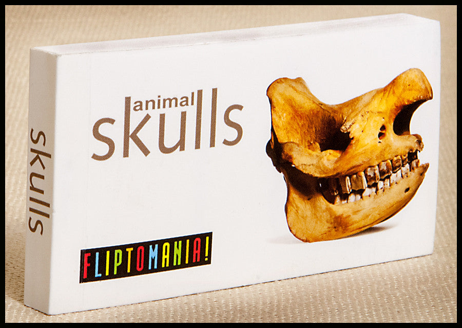 Flipbooks