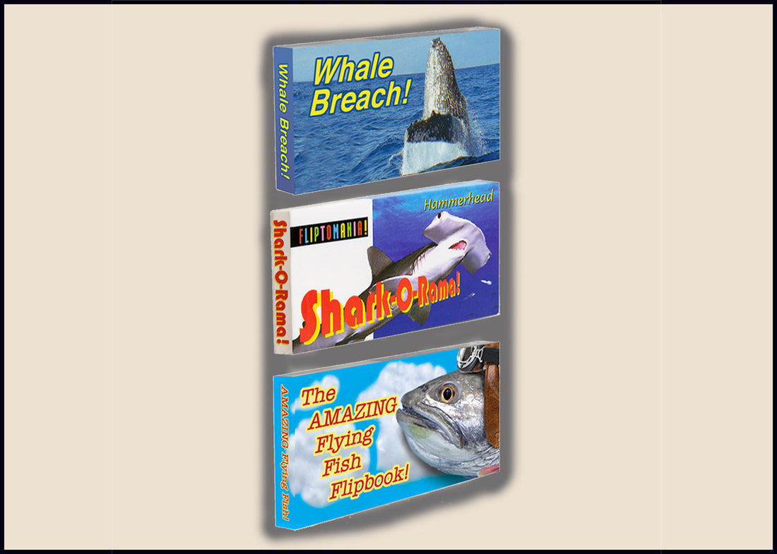 Animated flipbooks