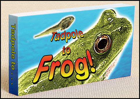 Flipbooks for kids