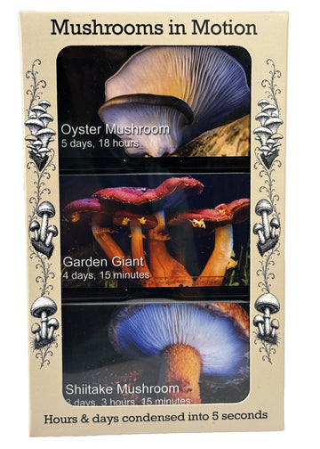 Mushroom Flipbook 3-Pack Time-Lapse