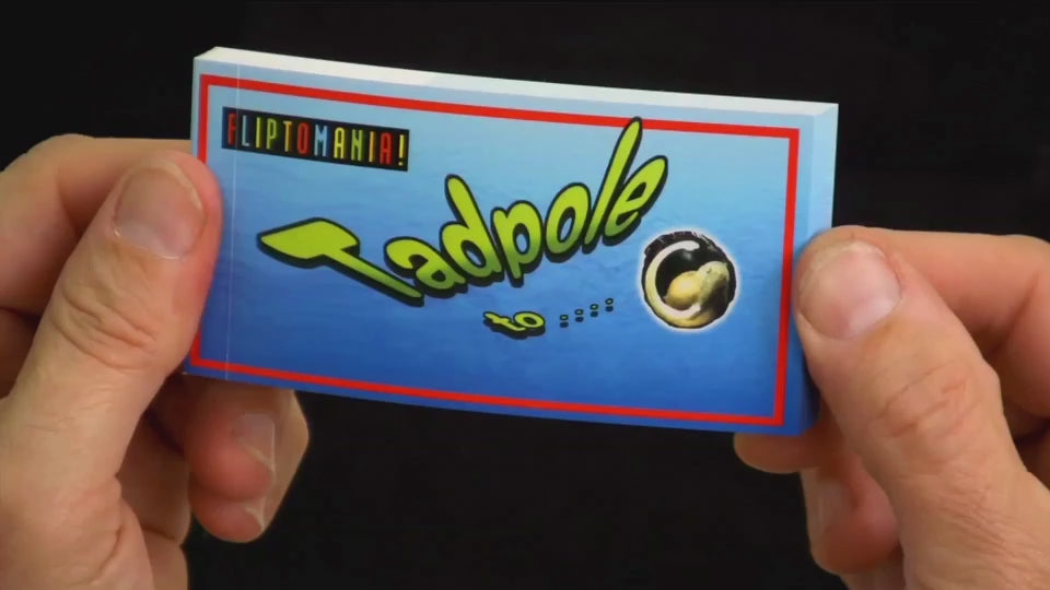 Flipbooks for kids