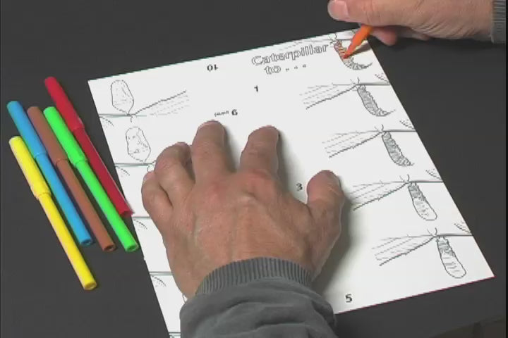 Flipbook animation
