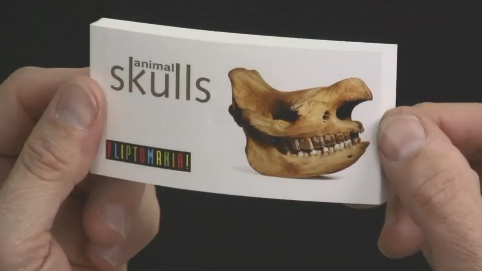 Flipbooks