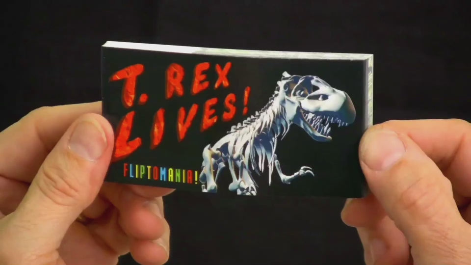 DIY flipbook kits