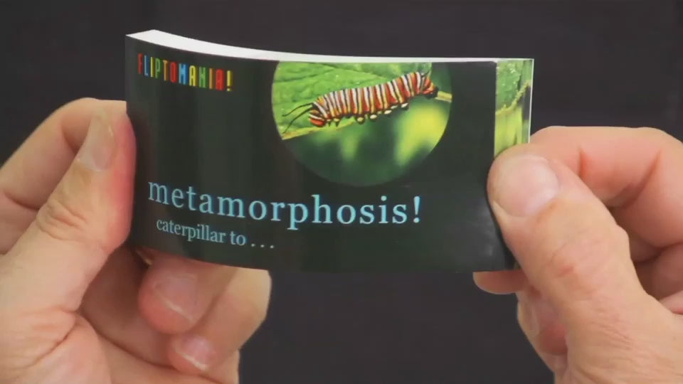 DIY flipbook kits
